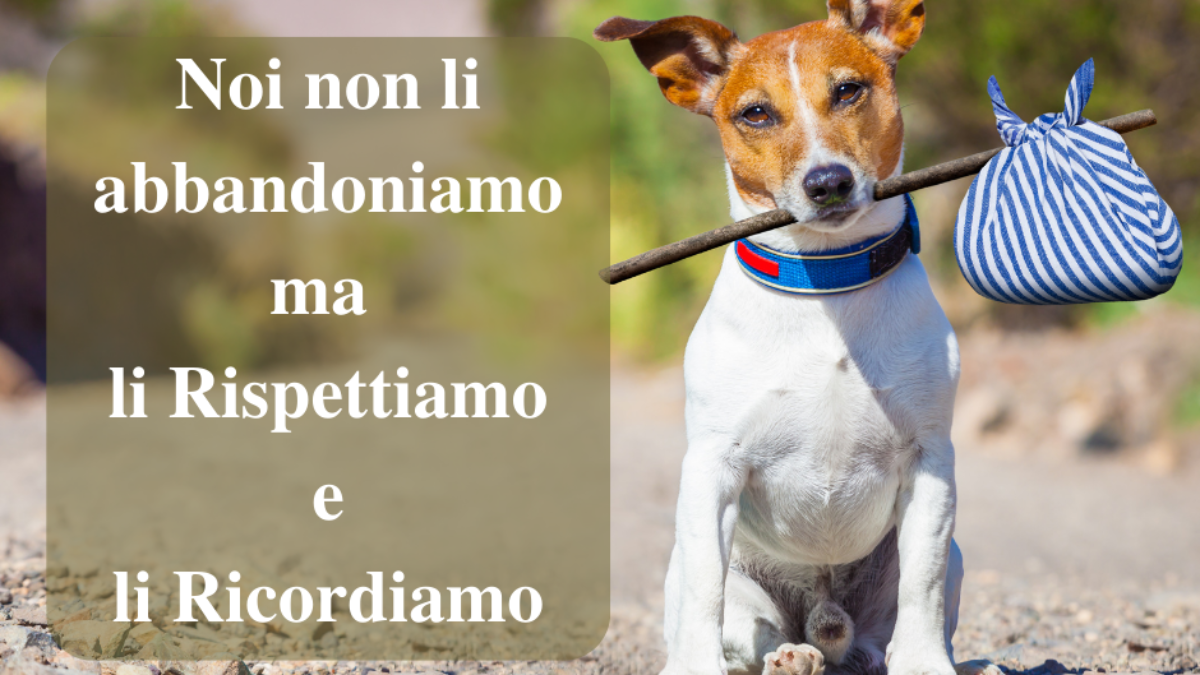 abbandono cani e gatti